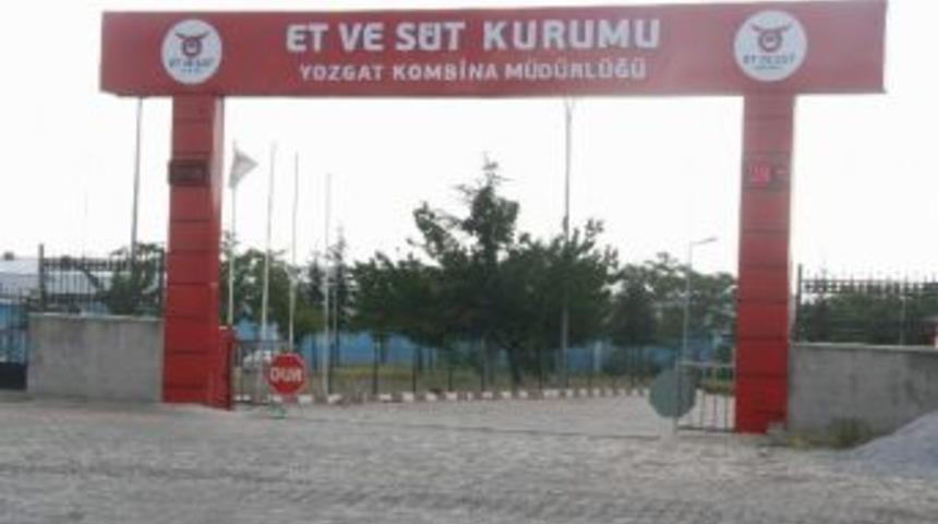 Yozgat Esk&rsquo;nın S&uuml;t Kombinası &Ccedil;&uuml;r&uuml;meye Bırakıldı