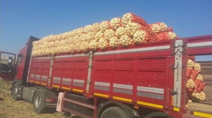 Polatlı&rsquo;da Soğan Hasadı Başladı