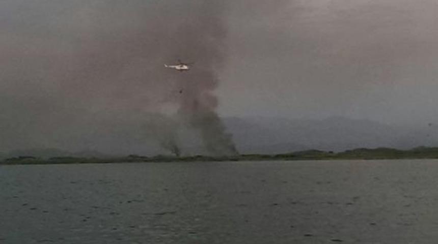 Koruma Altındaki Sazlık Alanda Yangın