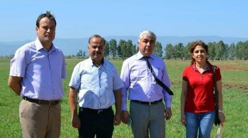Efeler&rsquo;de Mera Islah Alanlarında İnceleme Yapıldı