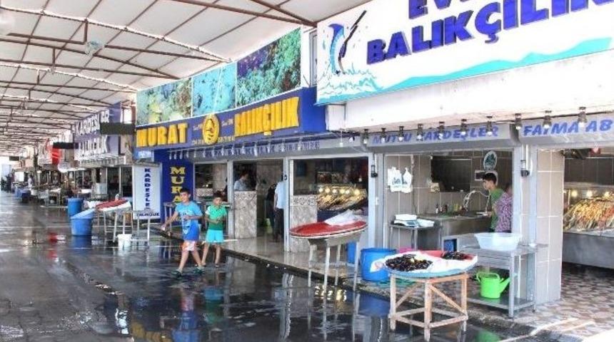 (&ouml;zel Haber) Balık Fiyatları Altını Solladı