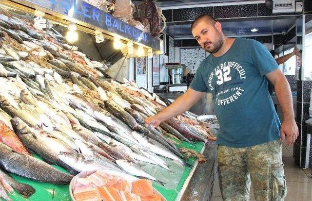 (&ouml;zel Haber) Balık Fiyatları Altını Solladı 3