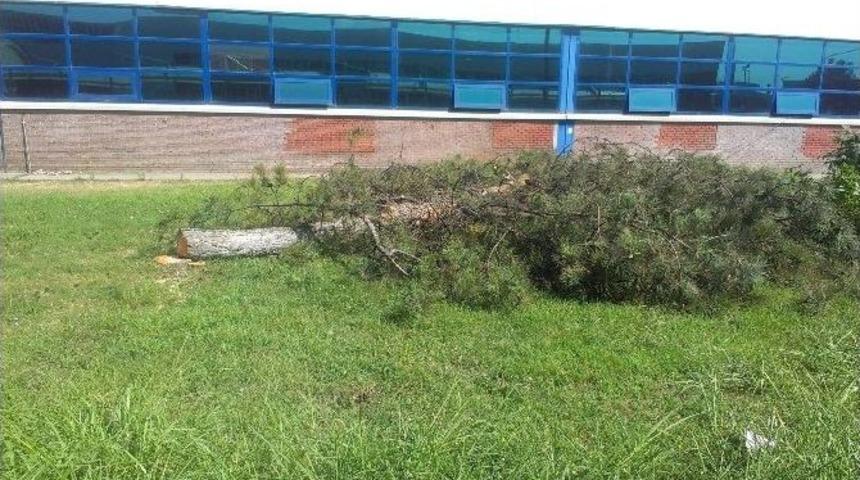 Tofaş Otomobil Fabrikası&rsquo;nda Yeni Bant İ&ccedil;in &Ccedil;am Ağa&ccedil;ları Kesildi