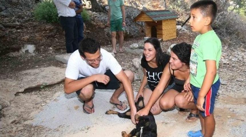Karain Kazı Ekibi Sokakta Buldukları K&ouml;peği Sahiplendi