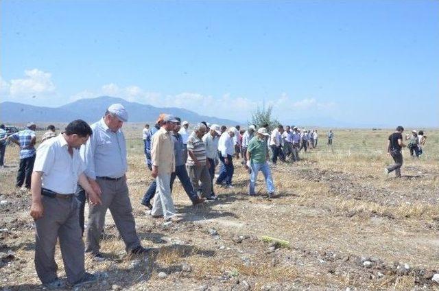 Denizli’de Tarla Faresi İle Mücadele Ediliyor 1