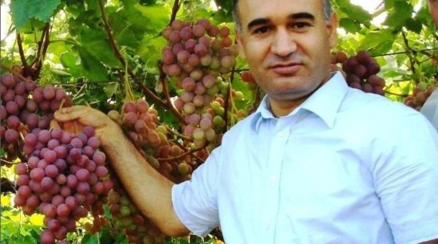 Sarıg&ouml;l Kaymakamı Işık, &Uuml;z&uuml;m Bağlarını İnceledi