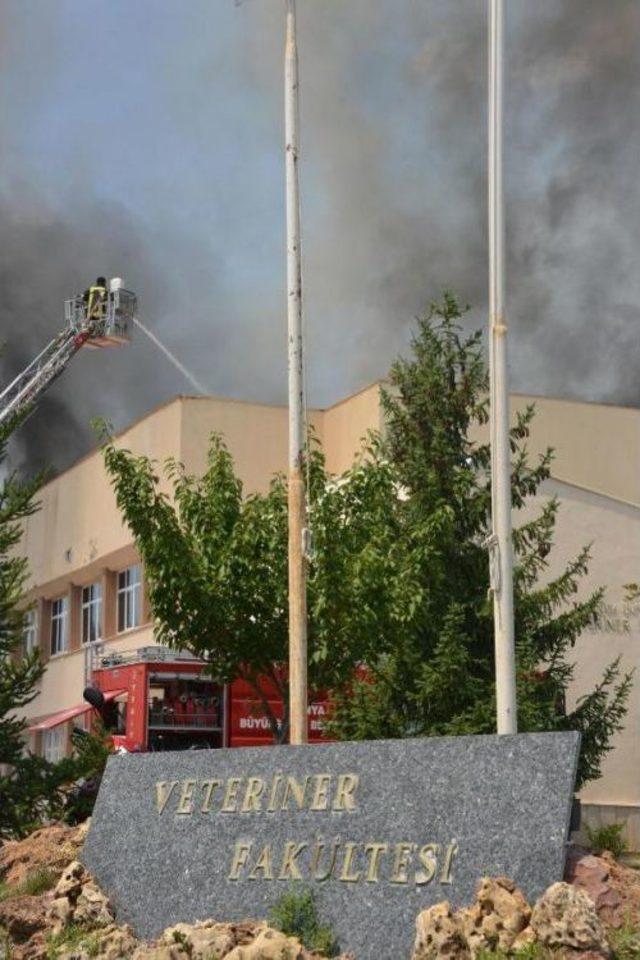 Selçuk Üniversitesi Veteriner Fakültesi’Nde Yangın (2)