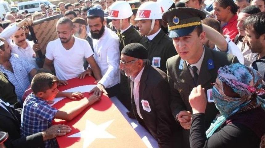 Erzurum Şehidine Ağladı