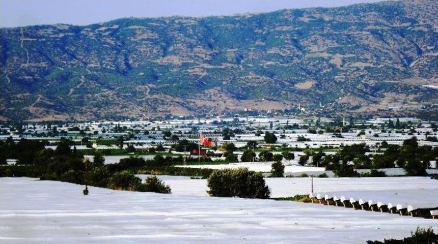 Sarıgöl Ovası Beyaza Büründü