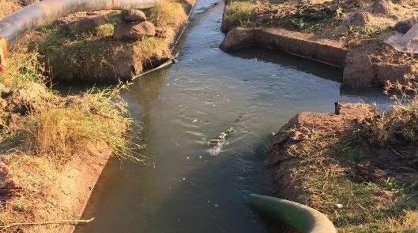 Viranşehir&rsquo;de Sulutepe &Ccedil;ift&ccedil;ilerinin Destekleme &Ccedil;ilesi