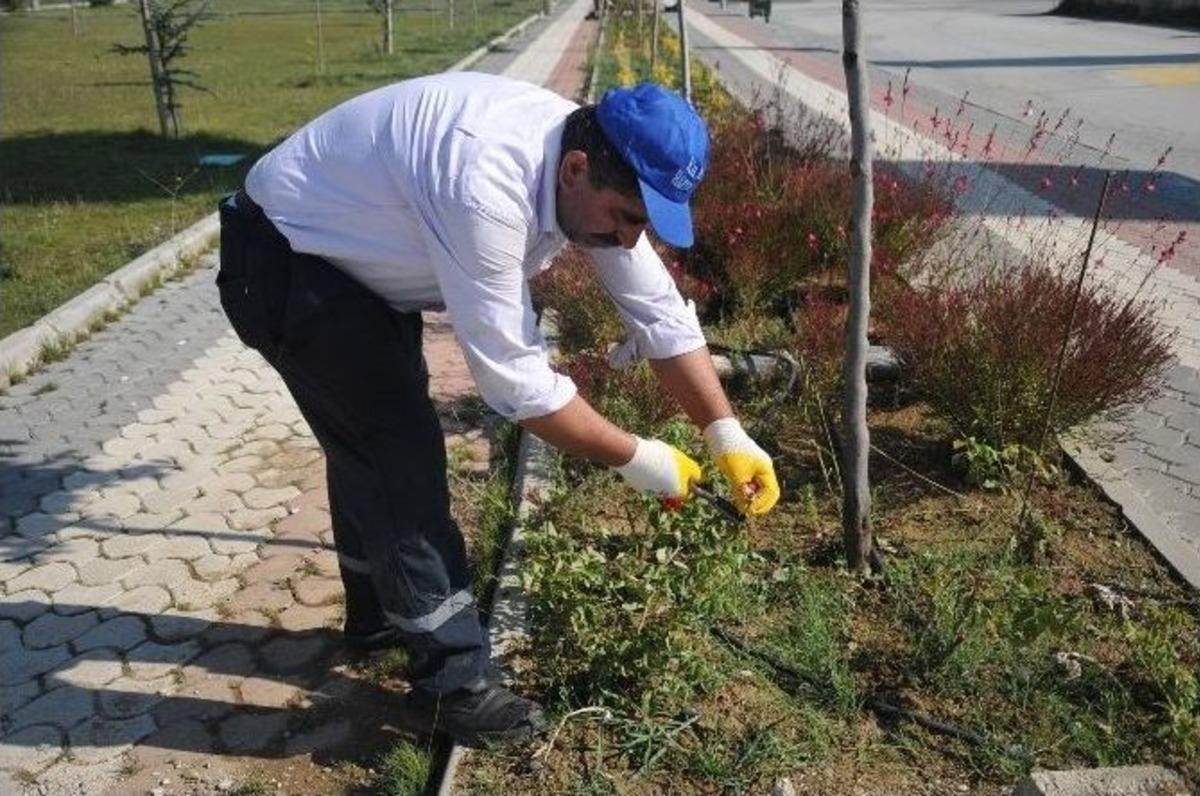 Boz&uuml;y&uuml;k&rsquo;te Yeşil Alanlar Her Zaman Bakımlı Ve G&uuml;zel