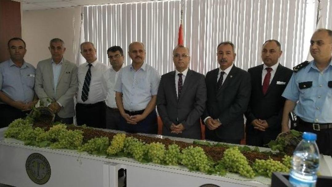 Salihli&rsquo;de İlk &Ccedil;ekirdeksiz Kuru &Uuml;z&uuml;m Borsa&rsquo;ya Geldi