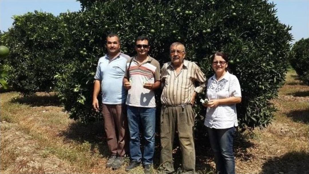 S&ouml;ke&rsquo;de Bah&ccedil;elere Zararlı B&ouml;cek Avcıları Salındı