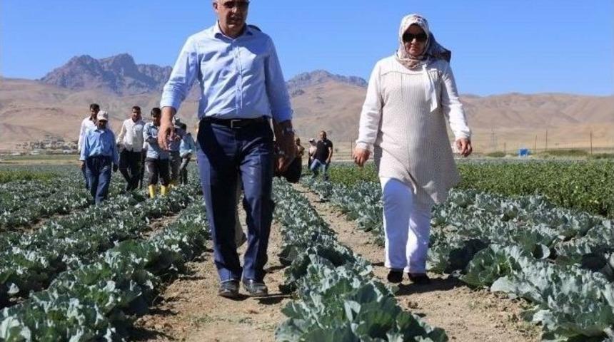 G&uuml;rpınar Belediyesi&rsquo;nden A&ccedil;ık Sera Hizmeti
