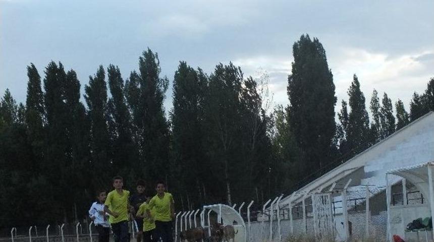 Atletler Milli Takım İ&ccedil;in Ter D&ouml;k&uuml;yor