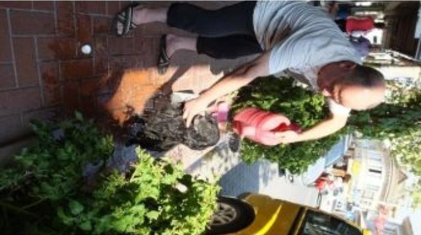 Aşırı Sıcaklar Hayvanları Da Bunalttı