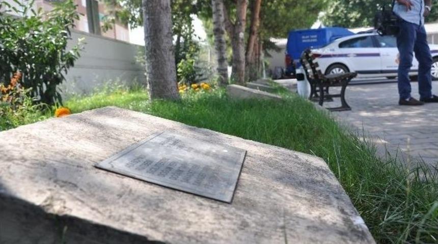 Her Ağa&ccedil; Bir Şehit