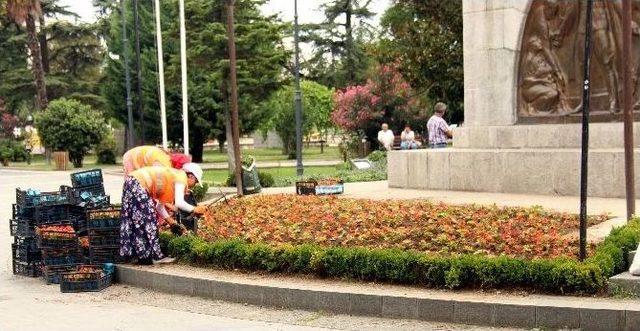 Anıt Çevresindeki Çiçekler Yenilendi