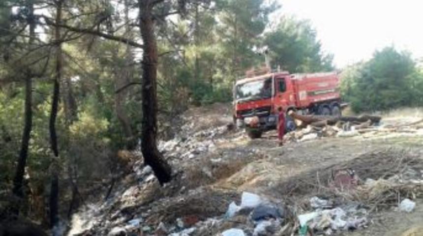&Ccedil;&ouml;pl&uuml;k Yangını Ormana Sı&ccedil;ramadan S&ouml;nd&uuml;r&uuml;ld&uuml;