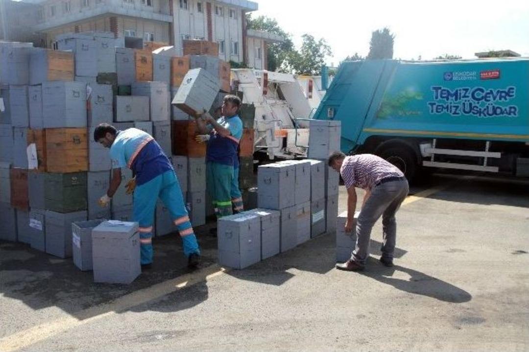 Ahşap Se&ccedil;im Sandıkları Artık Saksı Ve Odun Olarak Kullanılacak