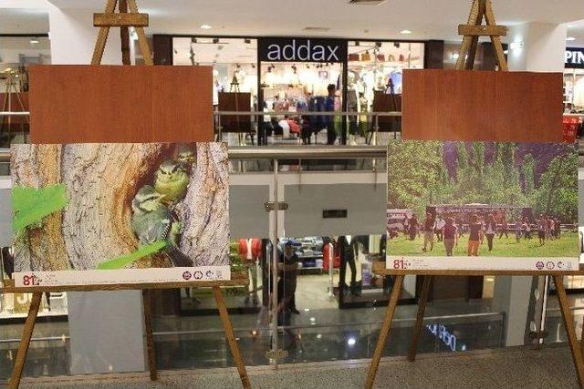 Palerium Avm&rsquo;de Fotoğraf Sergisi 2