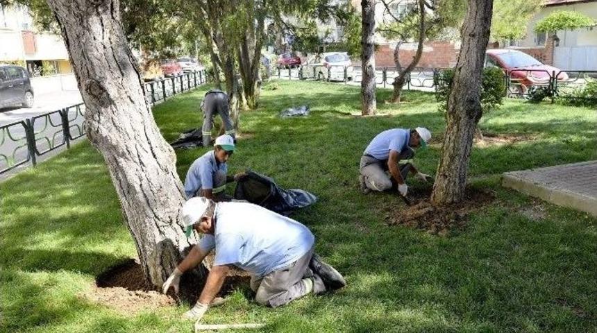 Şehit Kıdemli Yarbay Suat Coşkunalp Parkı Yenileniyor