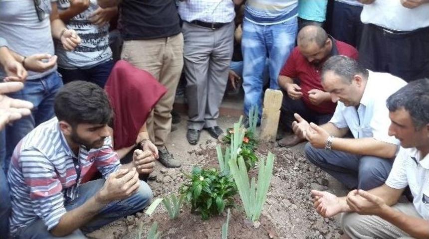 Siirt&rsquo;te Şehit D&uuml;şen Jandarma Er Arlı, Kocaeli&rsquo;de Toprağa Verildi