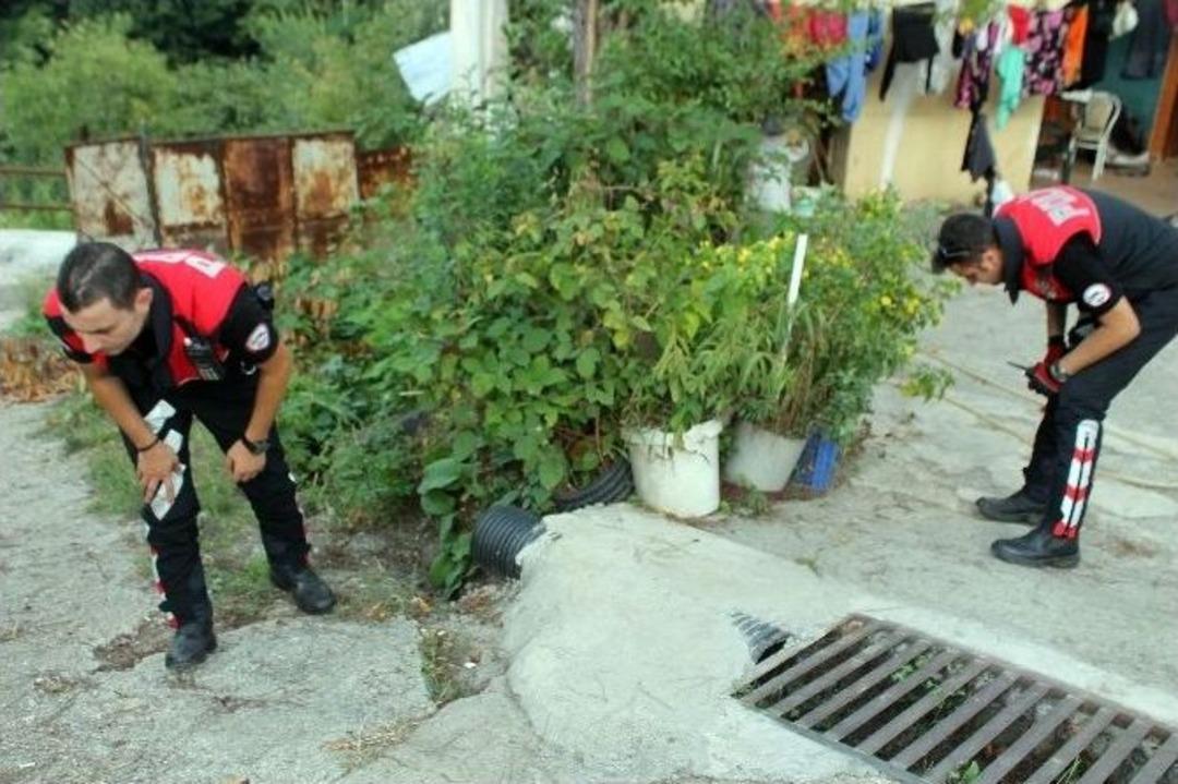Tartıştığı Ağabeyini T&uuml;fekle Yaraladı, Sonra Hastaneye G&ouml;t&uuml;rd&uuml;