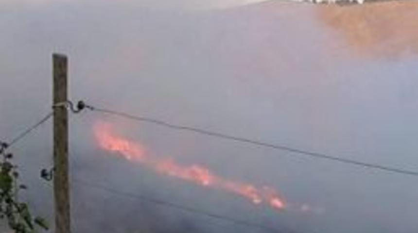 Adıyaman&rsquo;da Orman Yangını