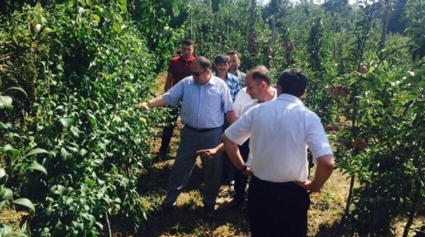 Kaymakam Serkan Ke&ccedil;eli&rsquo;den Tarımsal Alanlara Ziyaret