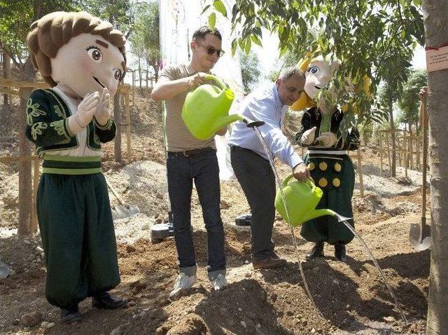 Yüzüklerin Efendisi Frodo’nun Antalya’da Dikili Bir Ağacı Oldu