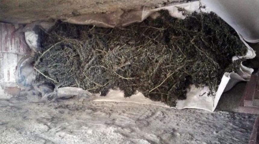 Ş&uuml;pheli Şahsın Evinden Beş Kilo Esrar &Ccedil;ıktı