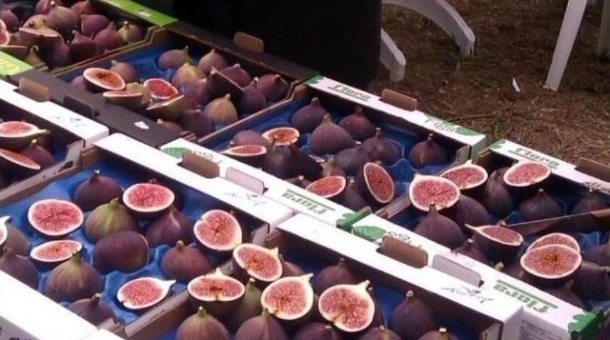 Mantar Krali&ccedil;e İncirini Vurdu