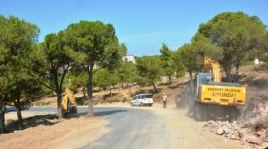 Ayvalık Belediyesi Ağa&ccedil;ları Kesmemek İ&ccedil;in Yol G&uuml;zergahını Değiştirdi