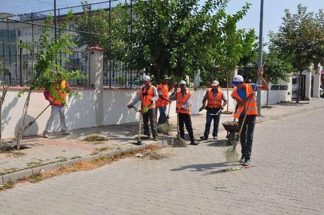 Nazilli Belediyesi Bakım Çalışmalarına Hız Verdi 1