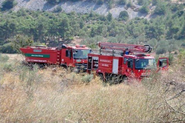 Alevler, Yırca'daki 'zafer Ağaçları'nı Küle Çevirdi