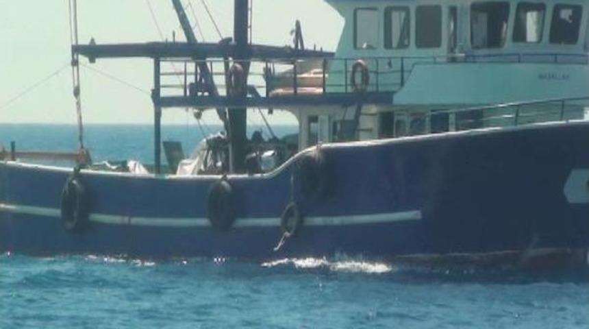 Didim'de Trolc&uuml;lere Para Cezası