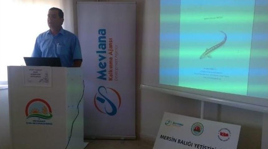 H&uuml;y&uuml;k&rsquo;te &rsquo;mersin Balığı&rsquo; Yetiştiriciliği Eğitimi