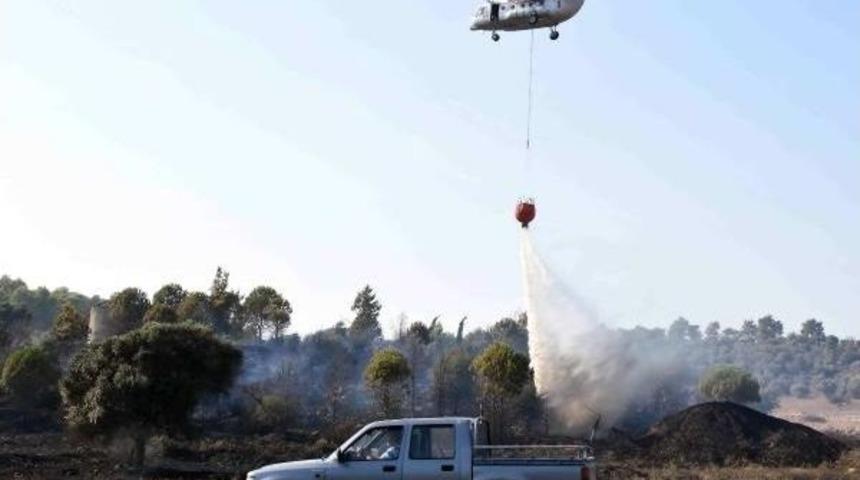Bodrum'da Korkutan Yangın