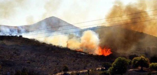 Bodrum'da Korkutan Yangın