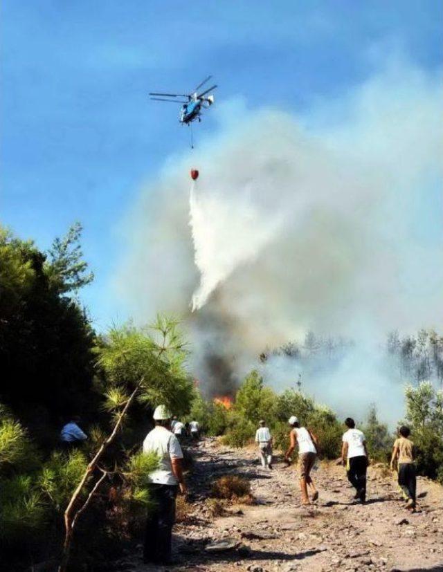 Bodrum'da Korkutan Yangın