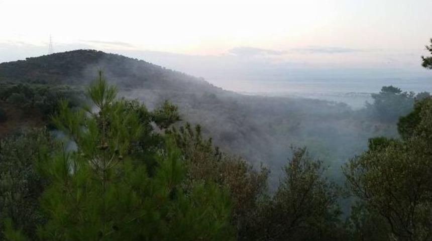 Kazdağlarında Orman Yangını Kontrol Altına Alındı