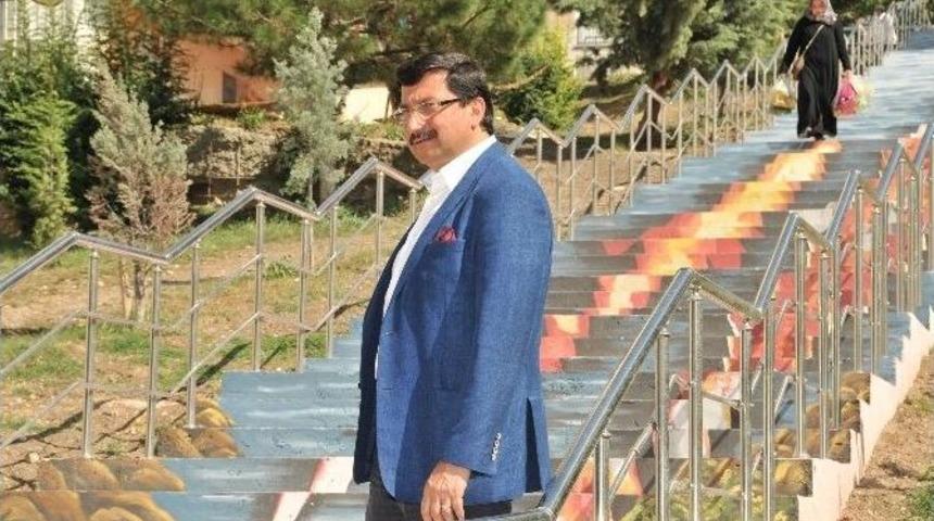 Merdivenler Doğa Desenleriyle Buluştu