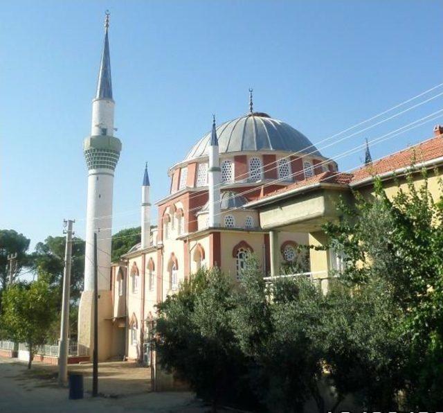 Yuvadan Düşen Leylek Yavrularına Mahalleli Sahip Çıktı 1