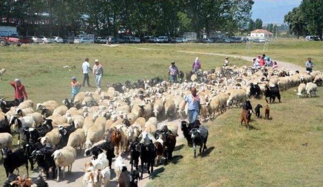 Yörük Şenliği'nde Teröre Protesto