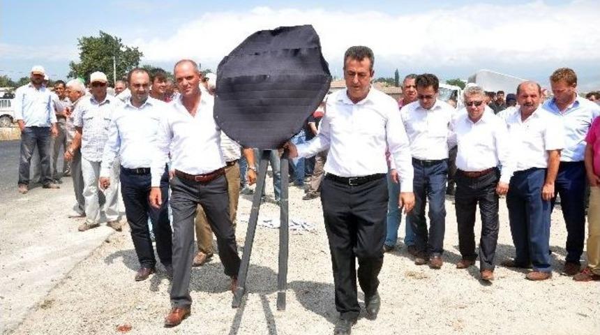 &Ccedil;ift&ccedil;i, Y&uuml;zde 50 D&uuml;şen Domates Fiyatlarına Siyah &Ccedil;elenkle Tepki G&ouml;sterdi