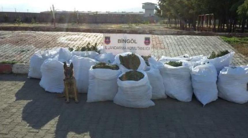 Bing&ouml;l&rsquo;De Piyasa Değeri 1 Milyon 600 Bin Lira Olan Uyuşturucu Madde Ele E&ccedil;irildi