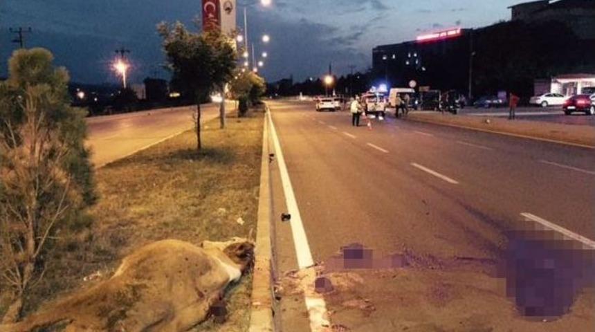 Sungurlu&rsquo;da Otomobil İneğe &Ccedil;arptı