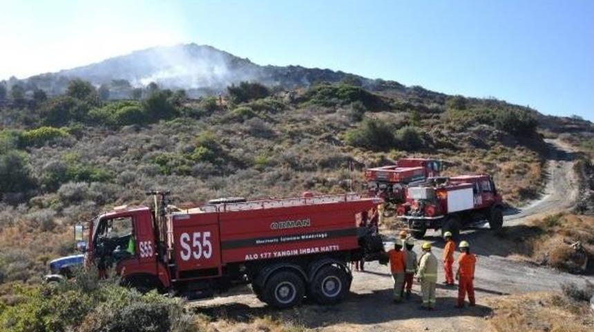 Dat&ccedil;a'da &Ccedil;ıkan Yangında 4 Hektar Zeytinlik Ve Makilik Alan Zarar G&ouml;rd&uuml;