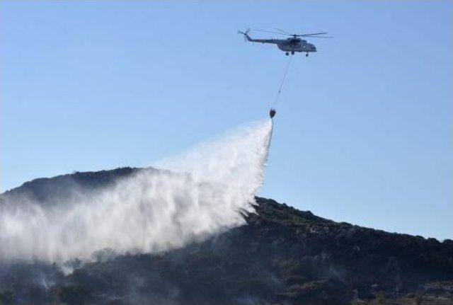 Datça'da Çıkan Yangında 4 Hektar Zeytinlik Ve Makilik Alan Zarar Gördü